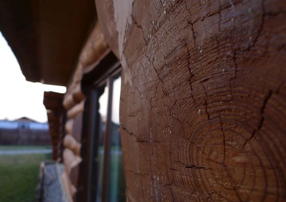 Pokoje Nad Morzem Drzewiec Mielenko