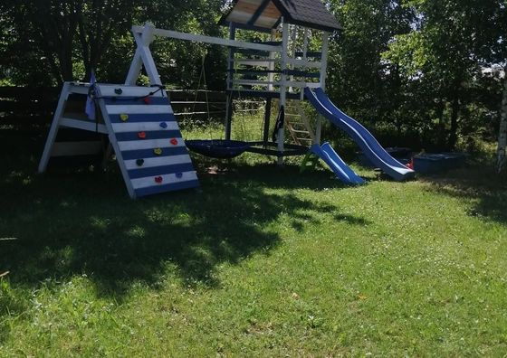 Domki w brzozach Brajniki