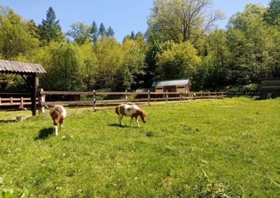 Gospodarstwo Agroturystyczne Na Górce Myczkowce