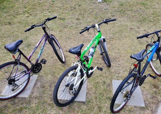 Agroturystyka OK Relax Krosno Odrzańskie