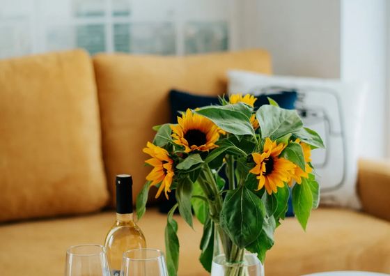 Apartamenty CityStudio Częstochowa