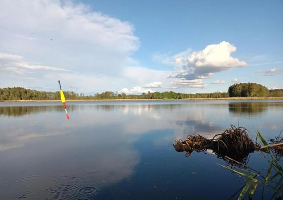 Agroturystyka Jeleń