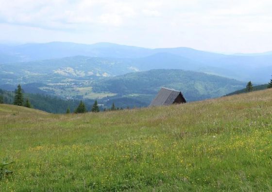 W deSki dom Krzyżowa