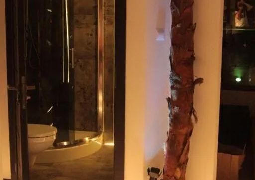 EGZOTYCZNA Bahia w Krainie Alicji