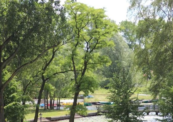 EGZOTYCZNA Bahia w Krainie Alicji