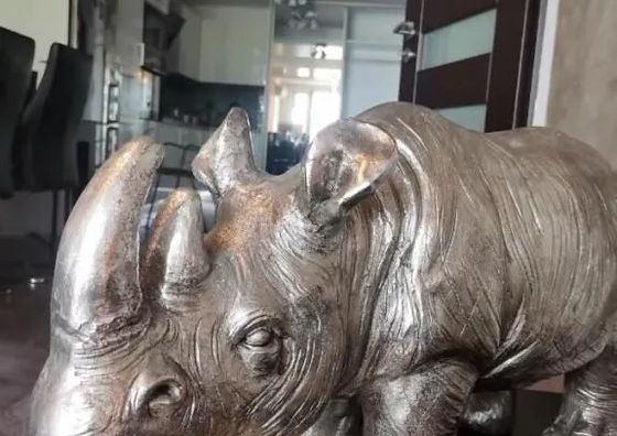 EGZOTYCZNE Meeru w Krainie Alicji