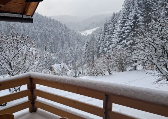 Domek w Jałowcach Piwniczna-Zdrój