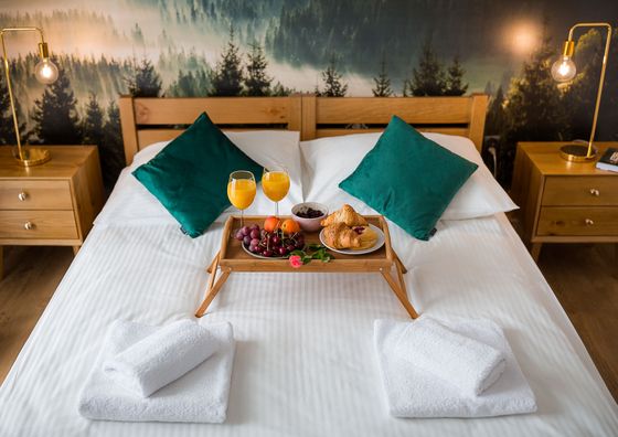 Bieszczadzkie Siedlisko Polańczyk 