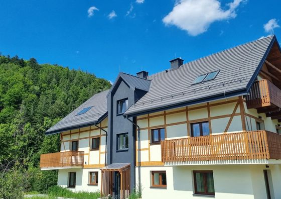 Apartamenty Willa Sowia Stronie Śląskie