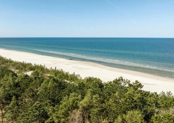 Shellter Hotel & Apartments Premium Rogowo 