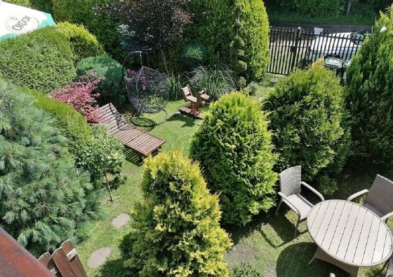 Domki Cyprys Ostrowo Kolonie