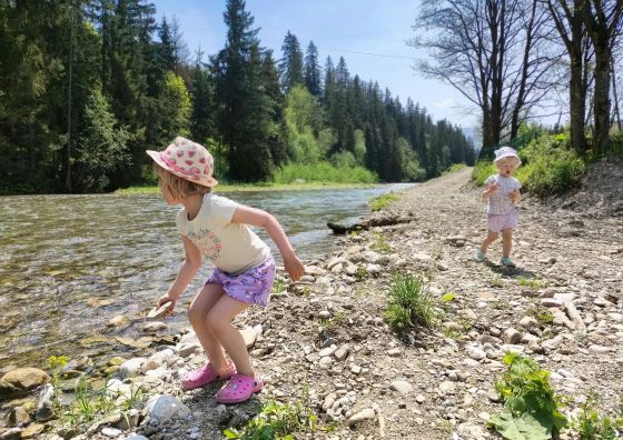 Domek Owca za płotem Witów