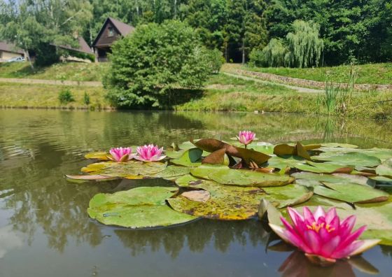 Domek El Coyote z wędkowaniem Solina