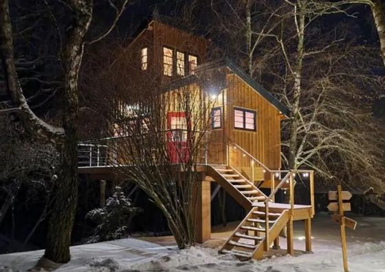  Domek na drzewie Węgiełek Treehouse Kazimierz Dolny