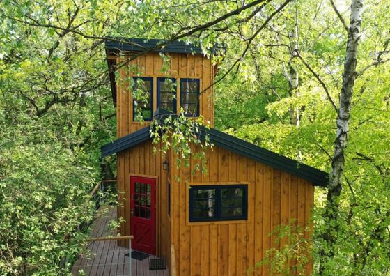  Domek na drzewie Węgiełek Treehouse Kazimierz Dolny