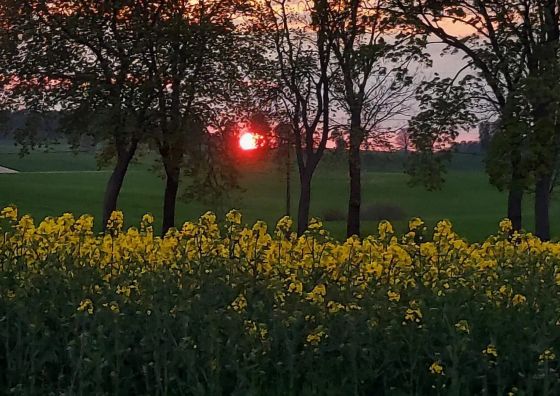 Gospodarstwo Agroturystyczne Kraina Choszcza