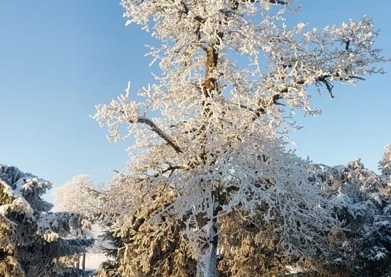 Gospodarstwo Agroturystyczne Kraina Choszcza