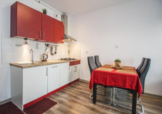 Apartament Lublin Stare Miasto „Wild Cat II”