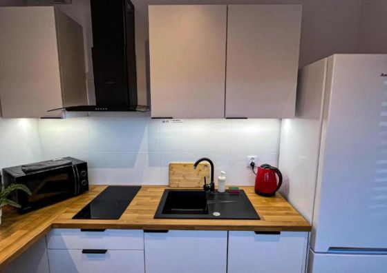 Apartament Lublin Centrum „Ice Cat”