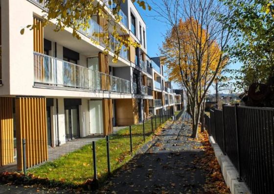 Apartament Lublin Centrum „Bengal Cat”