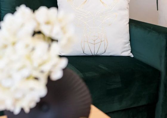 Apartament GOLD SEA Pobierowo