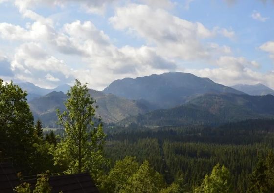 Willa Janosik Witów