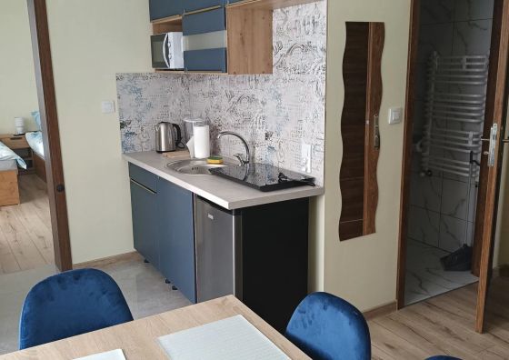 Apartament Chruścielówka