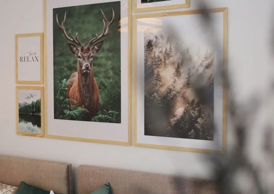 Apartament POD LASEM Jedlina Zdrój