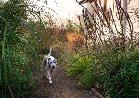 Sielankownia Radków