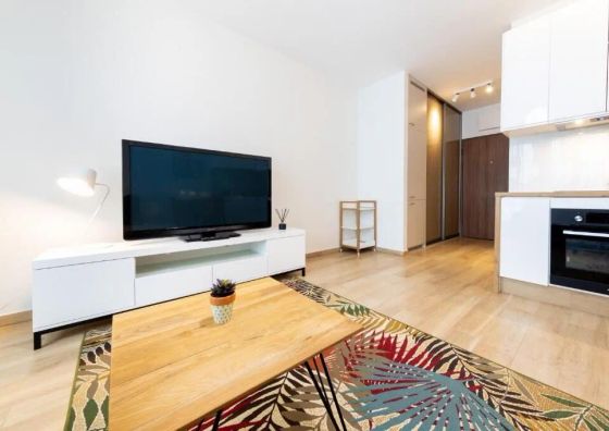 Studio z rozkładaną sofą - VIP Apartamenty Butikowa Białystok
