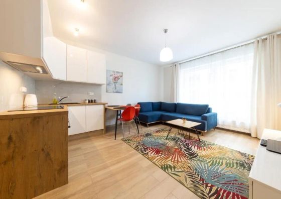 Studio z rozkładaną sofą - VIP Apartamenty Butikowa Białystok