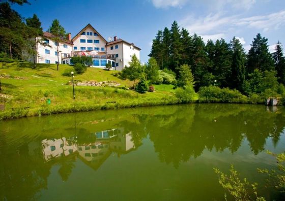 Hotel Perła Bieszczadów