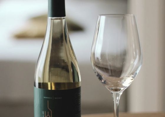 Apartamenty Winnica Zielona Góra 