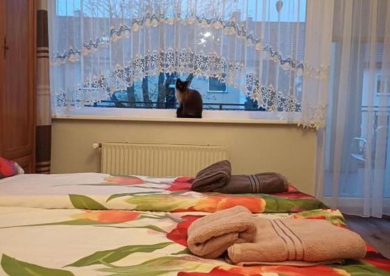 Pokoje i Domek Morski Brzeg Świnoujście