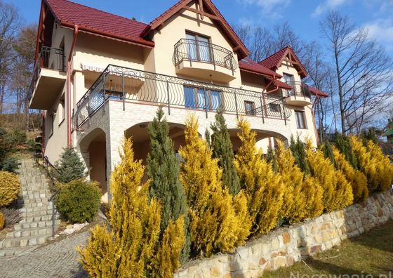 Willowe Zacisze Polanica Zdrój