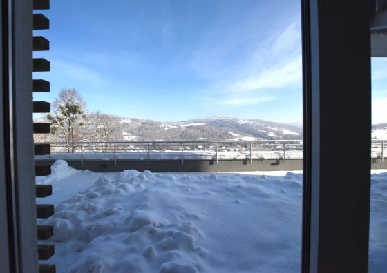 C.3 Apartament Siglany Wisła