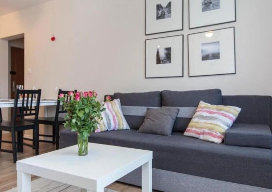 Apartament 24