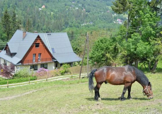 Agroturystyka Skałka Wisła