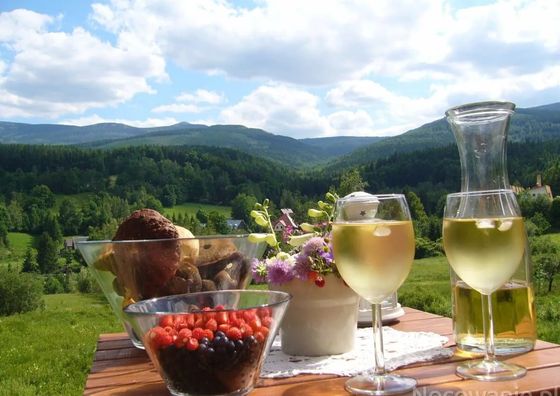 Dom nad Doliną Przesieka Karpacz