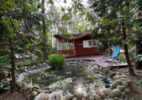 BRZOZOWY ZAKĄTEK Królewo