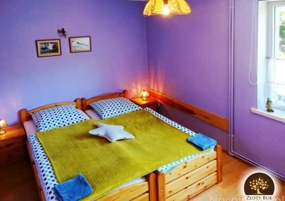 Złoty Buk Karkonosze - Jagniątków