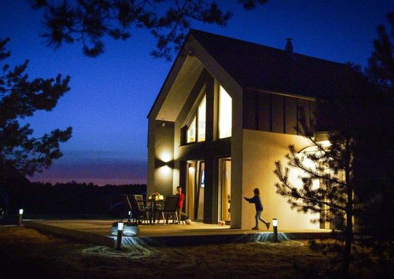 Domek wśród sosen, Sauna, Borsk  