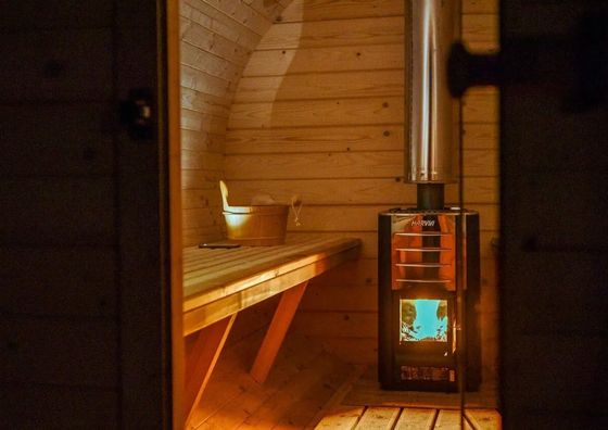 Domek wśród sosen, Sauna, Borsk  