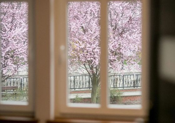 VacationClub Bystrzycka Apartament 2 Polanica-Zdrój