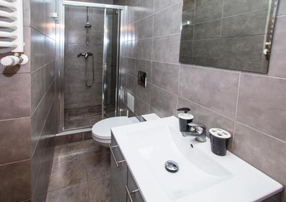 Apartamenty Sedinum - Śląska
