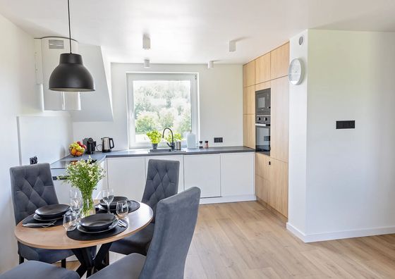 Apartament ZDRÓJ Zbludowice