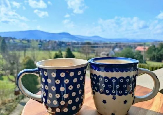 Apartamenty w Domu na Górce