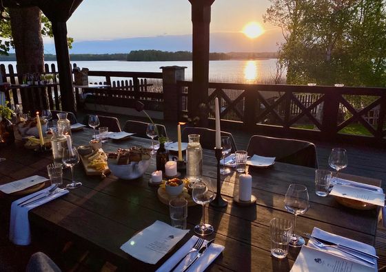 Dzikie Historie Młynik