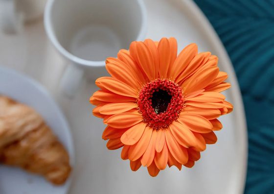 Chełmońskiego 1/21