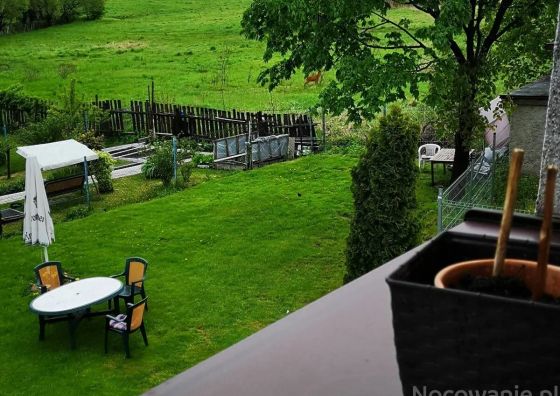 Noclegi u Ali Wałbrzych